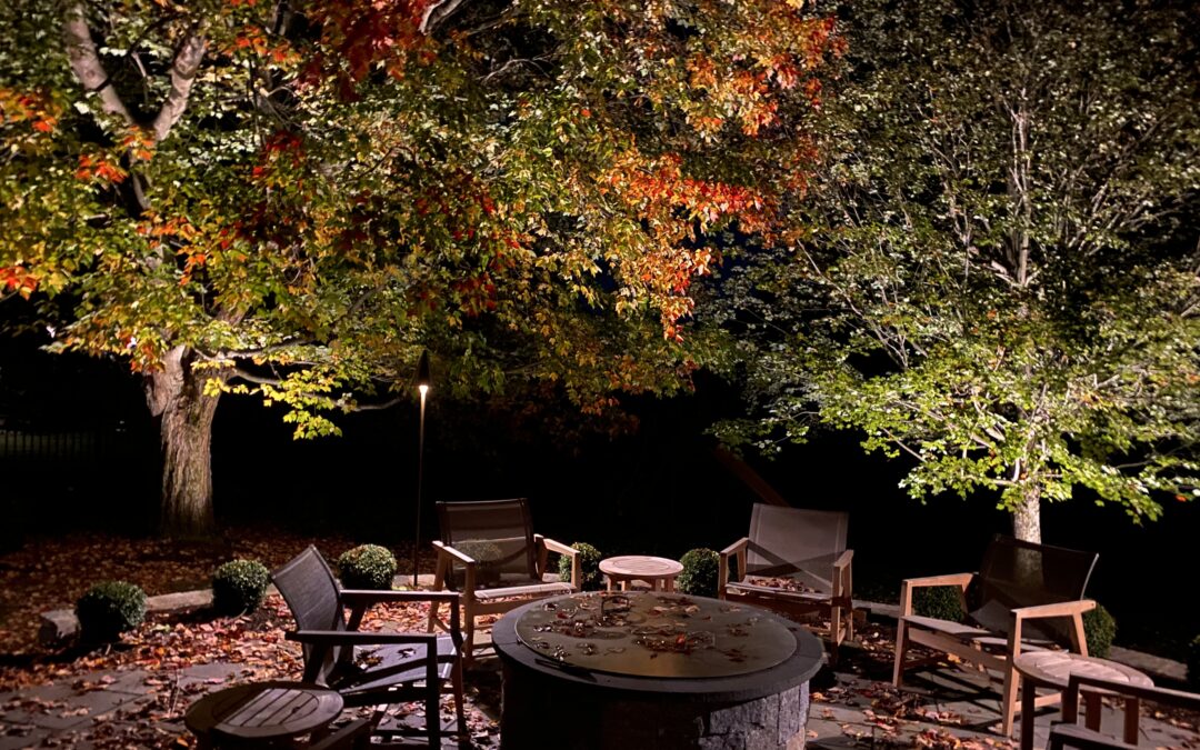 Autumn Tips For Your Landscape Lighting System
